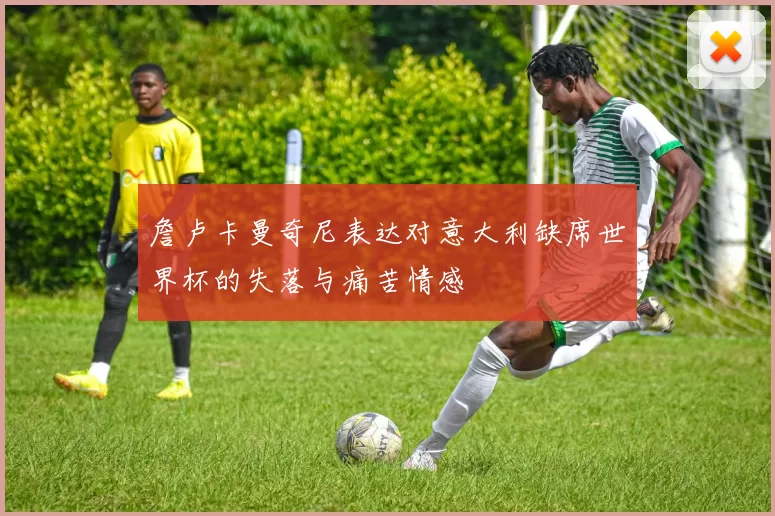 詹卢卡曼奇尼表达对意大利缺席世界杯的失落与痛苦情感